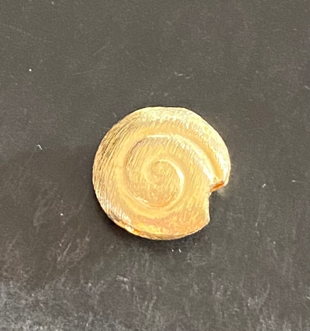 Schnecke, vergoldetes 925-Silber, gebürstet, 8 – 12 mm