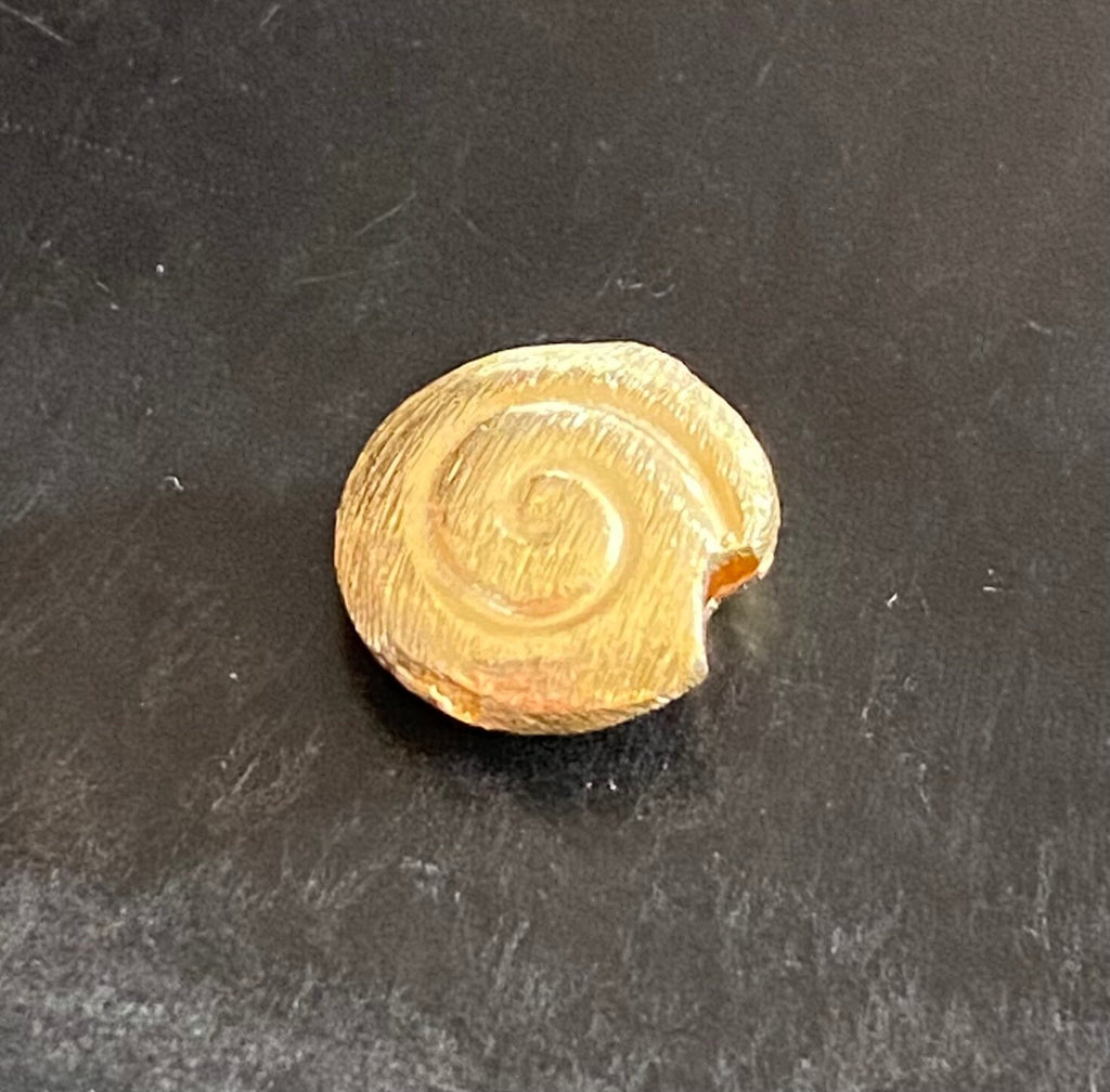 Schnecke, vergoldetes 925-Silber, gebürstet, 8 – 12 mm