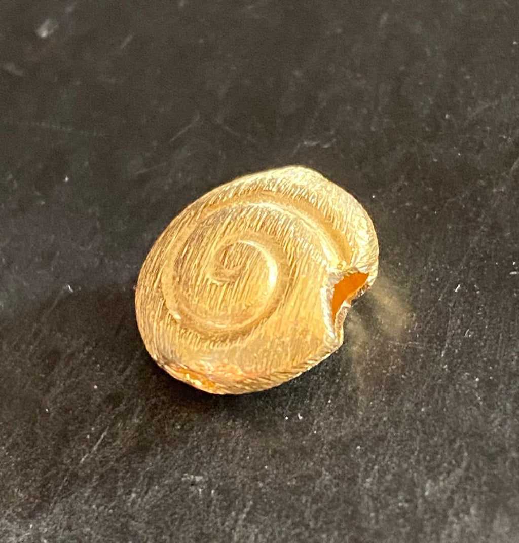 Schnecke, vergoldetes 925-Silber, gebürstet, 8 – 12 mm