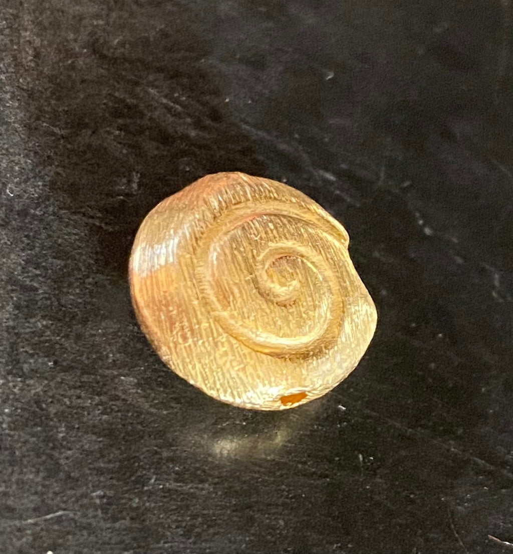 Schnecke, vergoldetes 925-Silber, gebürstet, 8 – 12 mm