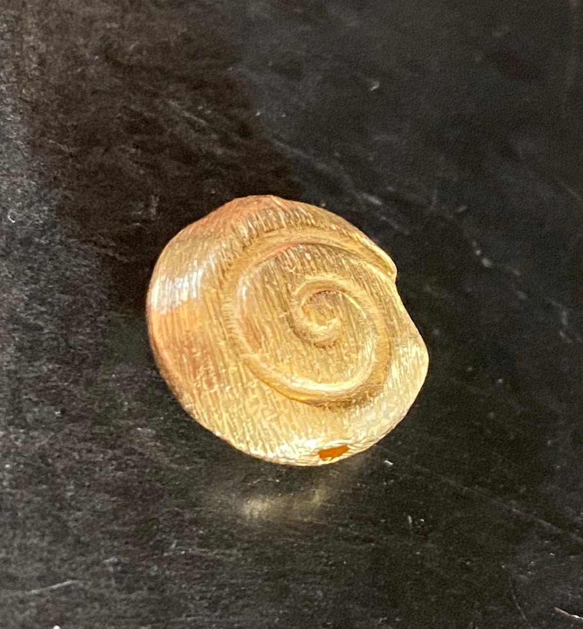 Schnecke, vergoldetes 925-Silber, gebürstet, 8 – 12 mm