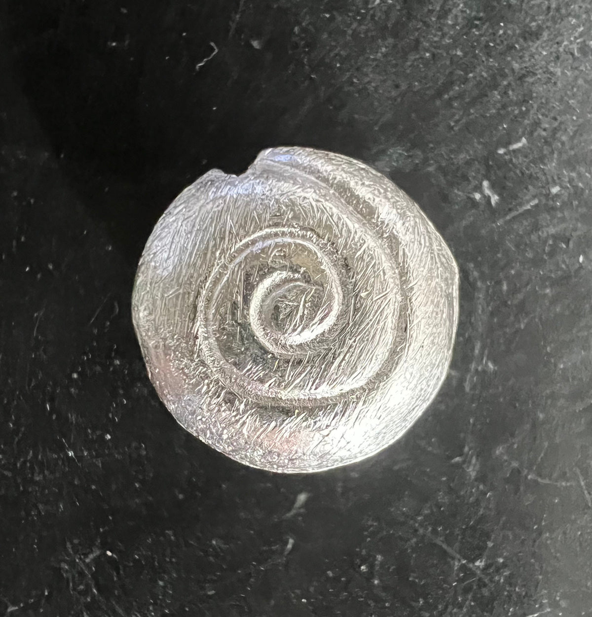 Schnecke, 925-Silber, gebürstet, 4 – 20 mm