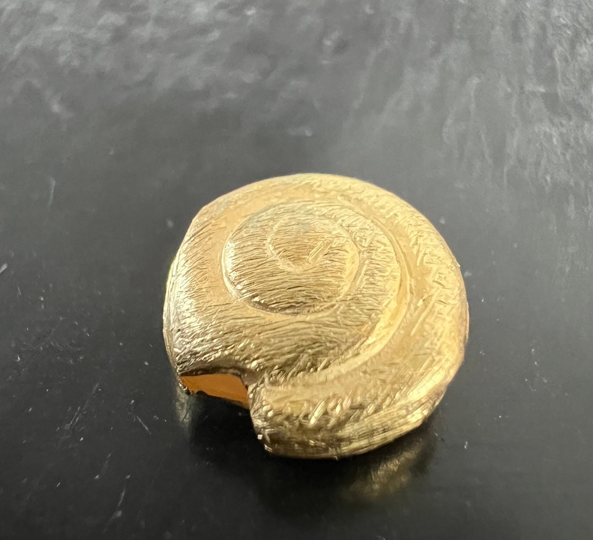 Schnecke, vergoldetes 925-Silber, gebürstet, 8 – 12 mm