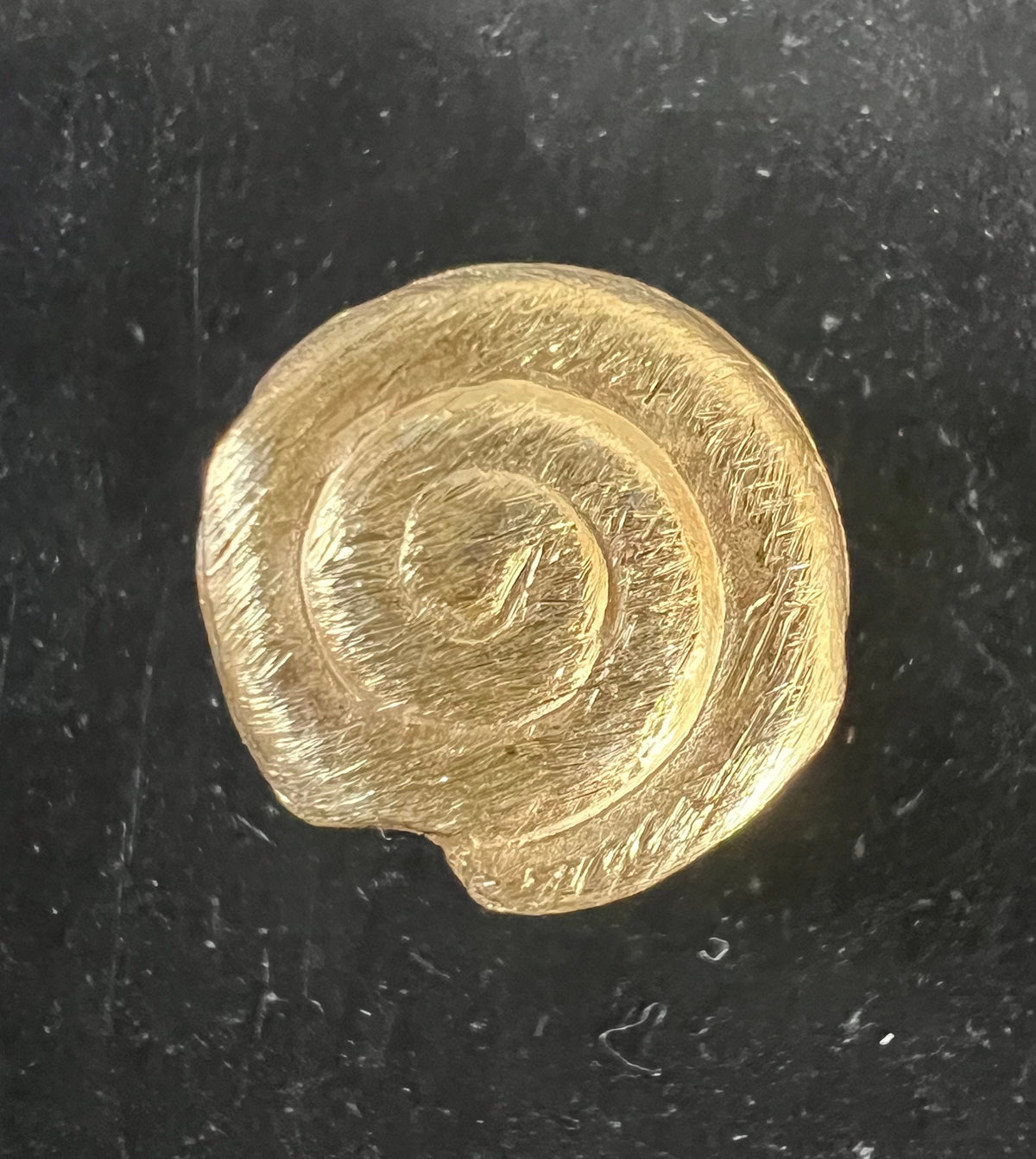 Schnecke, vergoldetes 925-Silber, gebürstet, 8 – 12 mm