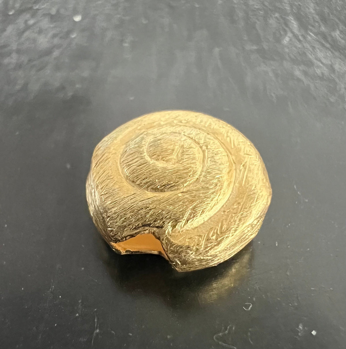 Schnecke, vergoldetes 925-Silber, gebürstet, 8 – 12 mm