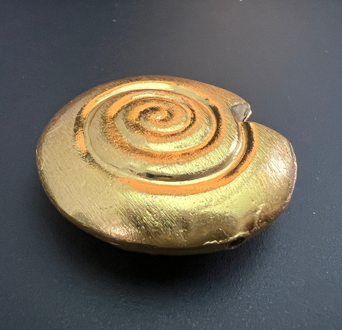 Kupfer Schnecke Perle, vergoldet, gebürstet, 40 mm | CU4