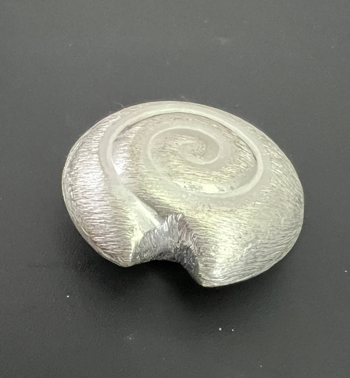 Kupfer Schnecke Perle, versilbert, gebürstet, 30 mm | CU5
