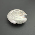 Kupfer Schnecke Perle, versilbert, gebürstet, 30 mm | CU5
