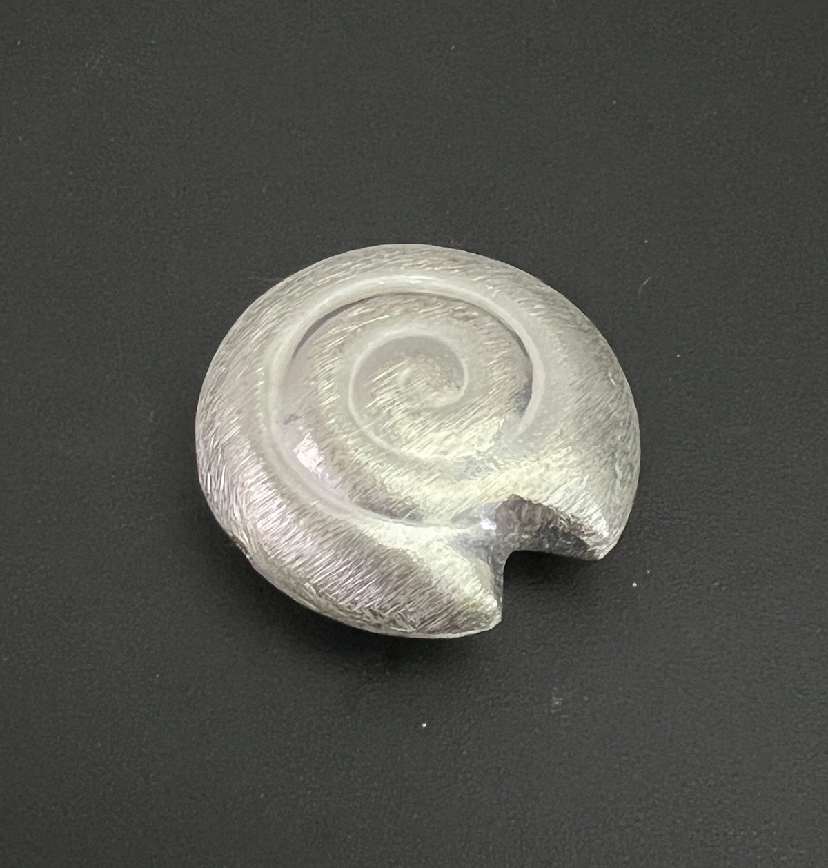 Kupfer Schnecke Perle, versilbert, gebürstet, 30 mm | CU5